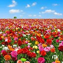 ���� ������, ������, 26 ��� - ��������� 14 ������� 2023 � ������ ���� ����������