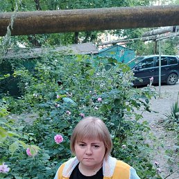 , 43 , 