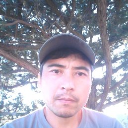 Baha, 34, 