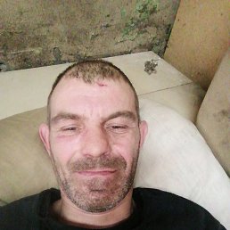 , 39, 