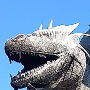 , 48 ,  