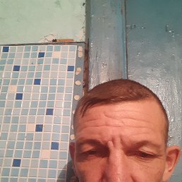 ������, 51 ���, �����