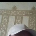 ���� ������, ������, 51 ��� - ��������� 2 ������ 2023 � ������ ���� ����������