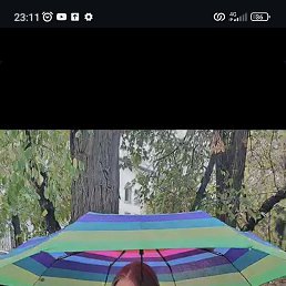 , 17, 