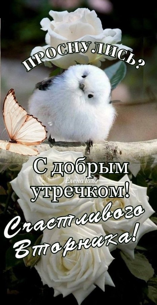 ��� ���� - 17 ����� 2026 � 10:58