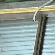 ������, 36 ���, �����������