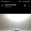 ���� ������, ��������, 42 ���� - ��������� 10 ����� 2026 � ������ ���� ����������