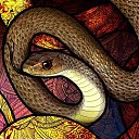 ���� ������, ��������, 48 ��� - ��������� 2 ������ 2024 � ������ ���� ����������