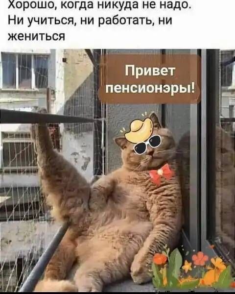 ₪╬═►  ||  ||  ◄═╬₪ - 26  2024  06:14