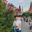 ���� ����, ������, 50 ��� - ��������� 17 ���� 2025 � ������ ���� ����������