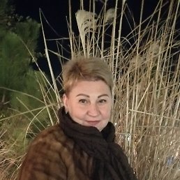 ���� �����, ���������, 54 ���� - ��������� 31 ������� 2023