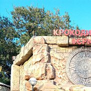 ���������, 38 ���, ������