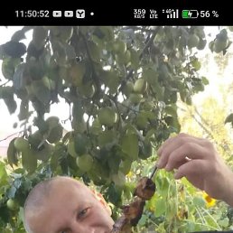 , 48, 