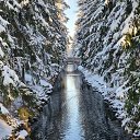 ���� ����, �����-��������� - ��������� 15 ������ 2025 � ������ ������ ��������