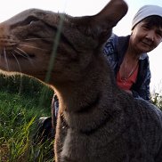 Татьяна, 61 год, Каменск-Уральский Татьяна, 61 год, Каменск-Уральский