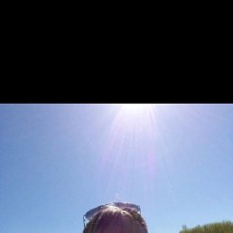 , 38, 