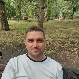 , 42, 
