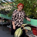 ���� ���, ����, 46 ��� - ��������� 27 ������ 2026 � ������ ���� ����������