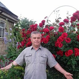 ��������, ������, 72 ����