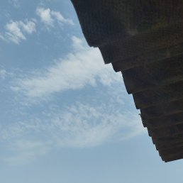 ���� ������, �����, 40 ��� - ��������� 8 ������� 2025