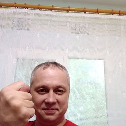 ���� ������, �������, 41 ��� - ��������� 13 ��� 2026
