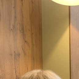 ����, ��������, 55 ���