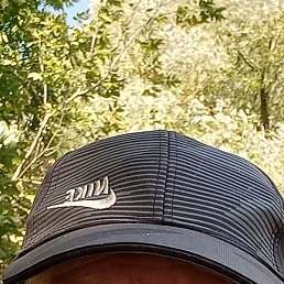 ������, ������, 51 ���