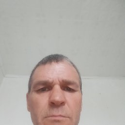  , 49, 
