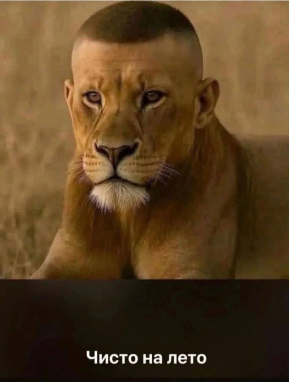)))))