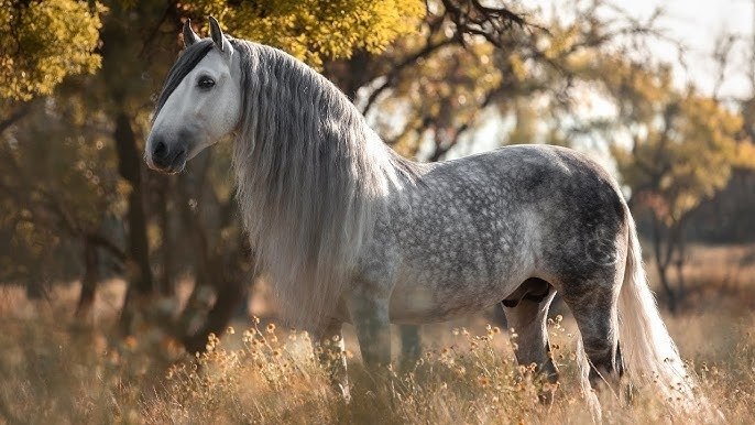  -   ! - 11  2025  16:18