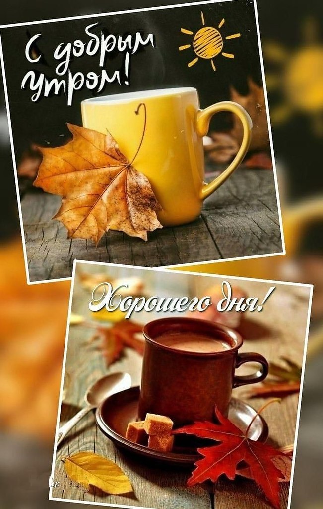 ПреЛЮДИи чувств - 16 сентября 2025 в 08:15