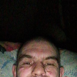 , 41, 