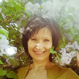 , 46, 