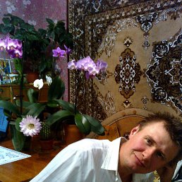 ������� �����, �����������, 44 ����