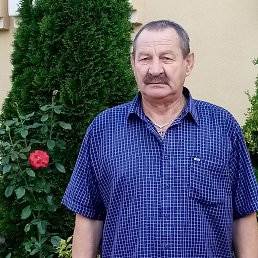 ���� �������, �����, 67 ��� - ��������� 17 ������ 2024