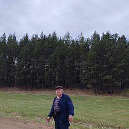 , 61, 
