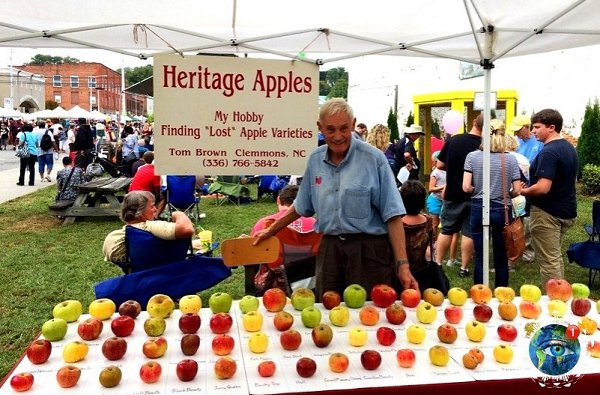 �a��e ���� �o��� c�ac�� ��a�e��! - 2