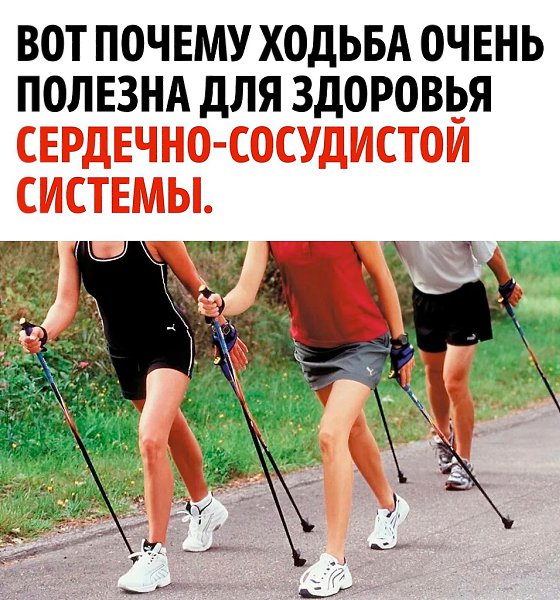������ ������� ����� ���� ��������� - 3