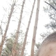 , 35 , -