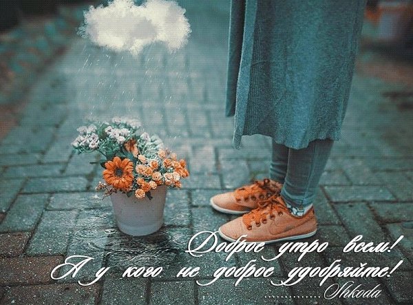   ,    . - 27  2025  22:44