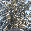 ���� �����, ������, 44 ���� - ��������� 19 ������� 2023