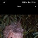 ���� ������, ������, 55 ��� - ��������� 30 ����� 2026