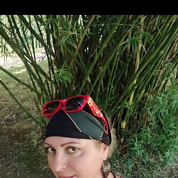 ����, �����������, 49 ���