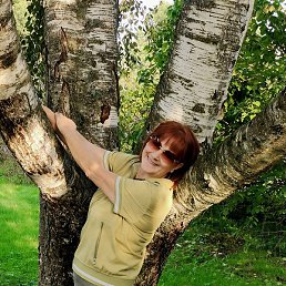 ������, ������� ��������, 62 ����