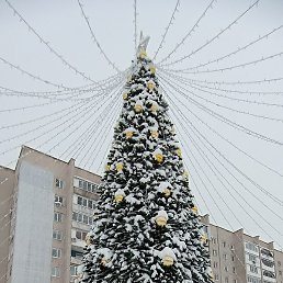 ������, ���������, 59 ���