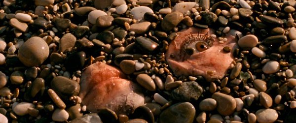 ��������� � ������ ���������� / Reflet dans un diamant mort, 2025.���. ���� �����, ����� ������� - 6