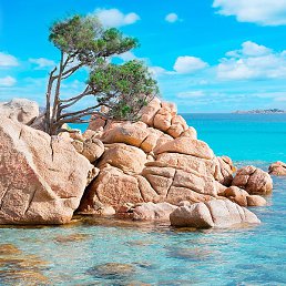 Vlad, ������, 18 ���