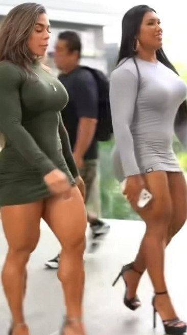 aa-o cpaa poepa