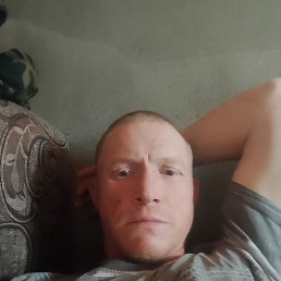 ���� ��������, �����������, 40 ��� - ��������� 15 ���� 2026