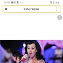 ���� ��������, ������, 41 ��� - ��������� 23 ������� 2024 � ������ ���� ����������